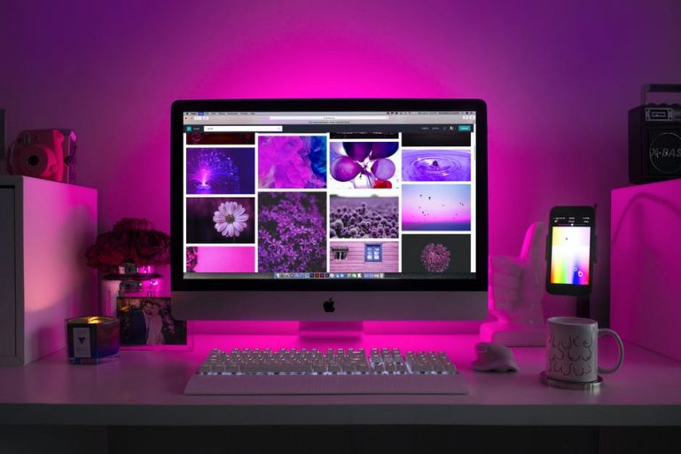 wordpress themes